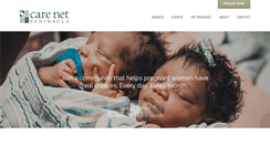Desktop Screenshot of carenetrpc.com